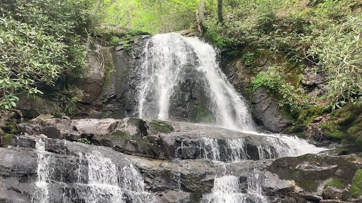 We are in the Smoky Mountains this week. It has been awesome so far! This is Laurel Falls. 

#laurelfalls #laurelfallstrail #gatlinburg #gatlinburgtennessee #smokymountains #smokies @greatsmokynps #hiking #outdoors #nature